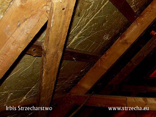 quazi thatch: fragment of the panel after removing from the roof - reed degraded by moisture, due to the lack of air circulation in such a solution