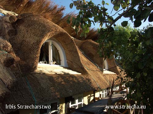 Irbis thatcher - working with thatched roofs 'crop eye'
