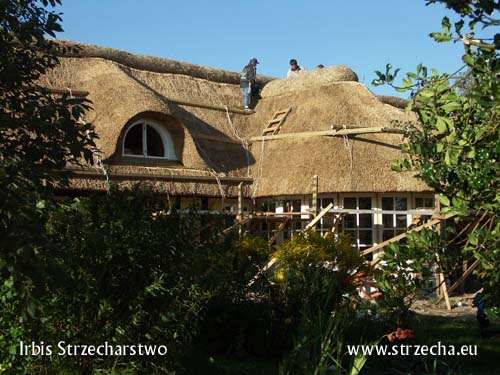 Kalenica przed ułożeniem kozłów dębowych - Irbis Thatching