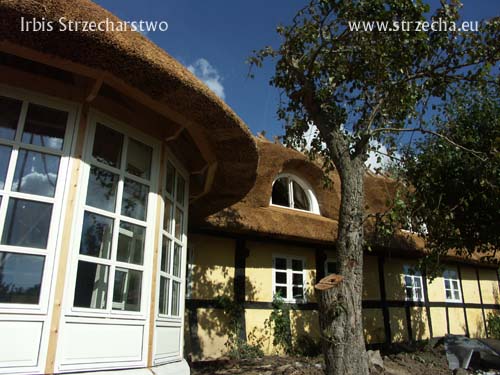 Thatched roof before final grinding