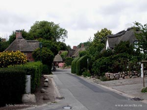 thatched reed roof on residential buildings on the island of Föhr