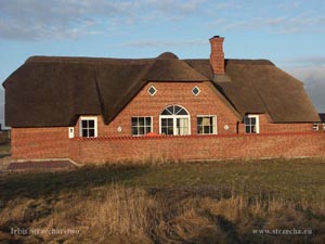 thatched reed roof on a residential home