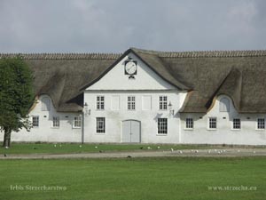 thatch, reed roof on a holiday home