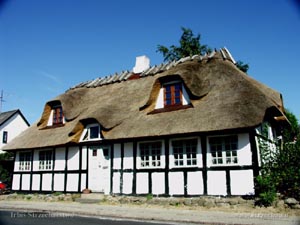 reed roof on a small, rustic cottage