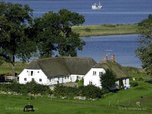 thatched roof - agricultural habitat