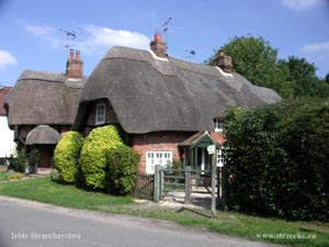 long straw roofs in rural houses