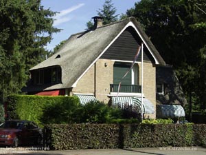cover of reeds on a modern residential home