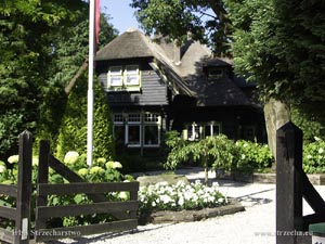 thatch on a modern wooden house
