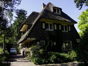 reed roof on a multi-storey residential house