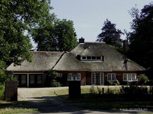 cover of reeds on a modern residential home