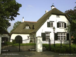 reed roof on a residential house