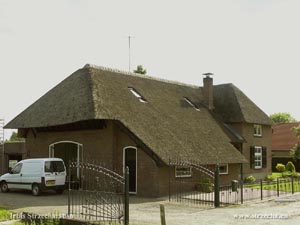 cover of reeds on a residential house