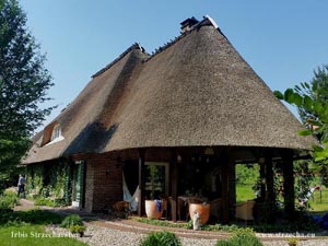 thatched roof, reed roof at the ancestral seat near Zielona Góra