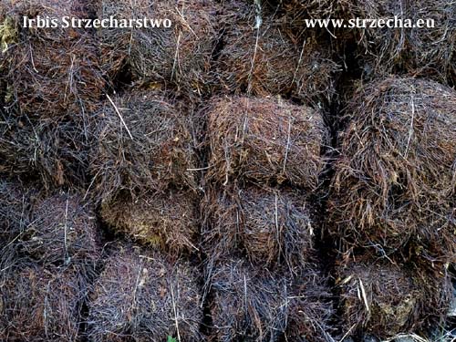 Irbis Thatching Supplier - heather pressed in cubes