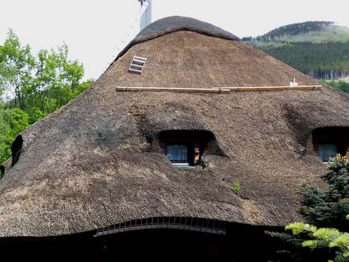 Thatched roof: dense thatch