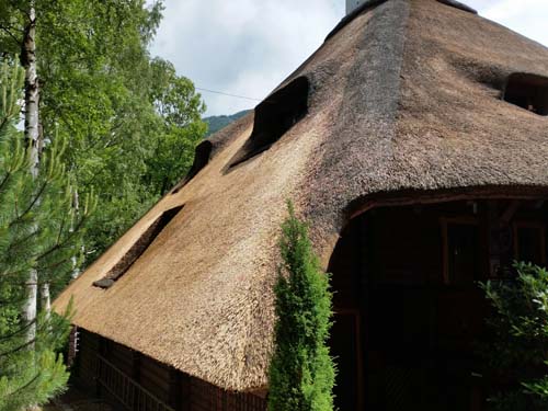 Thatch - the western side of the roof after the service by Irbis Thatcher