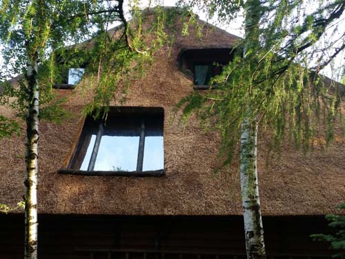 North side of the roof after the service of thatched roofs