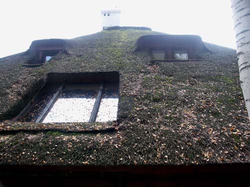 Thatch: the roof from the north side before service