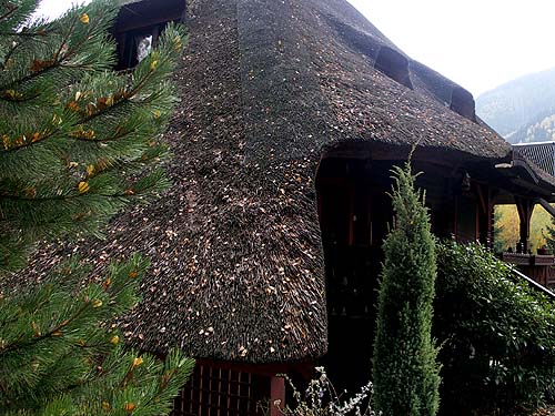 Thatch: roof from the north-west side before service