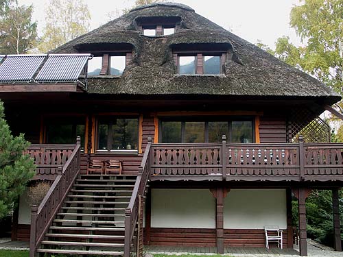 A reed roof from the south side before service