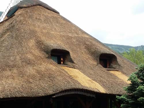 Thatch: the western side of the roof after the service, the Irbis Thatcher