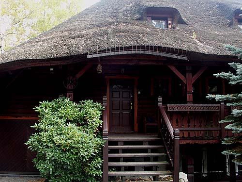 Thatch on the roof from the west side and entrance before the service