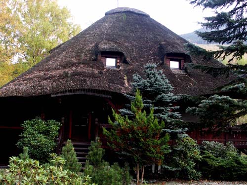 Thatch on the roof from the west side - before service