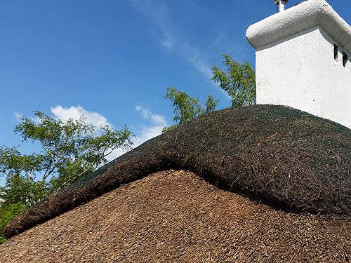 Thatched roof: ridge through the site with heather thatch concentrated