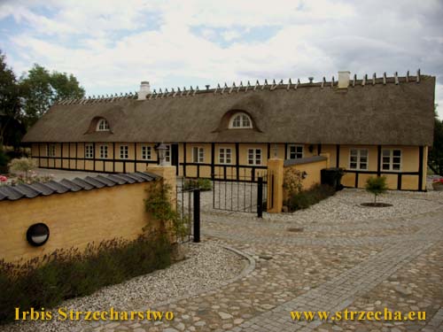 A house in the Danish province - thatched roofing after renovation