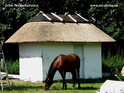 Garden house for tools and pet food - reed roof Irbis