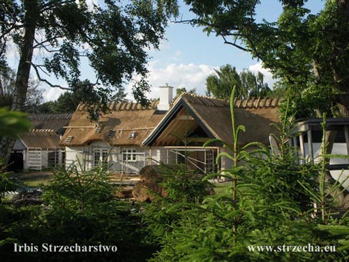 Thatch at the ancestral seat in Gammel Om, Denmark - reed roof Irbis