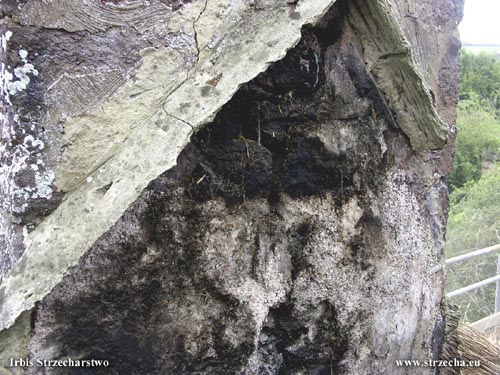 Irbis Thatching: Damage to the chimney after several years of operation