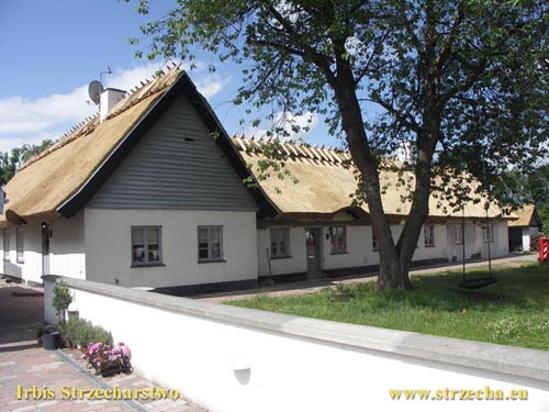 New thatched roof, straw ridge - reed roof Irbis