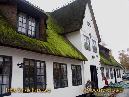 thatched roof - the moss lends the roof a charming grace, but it degrades the roofing