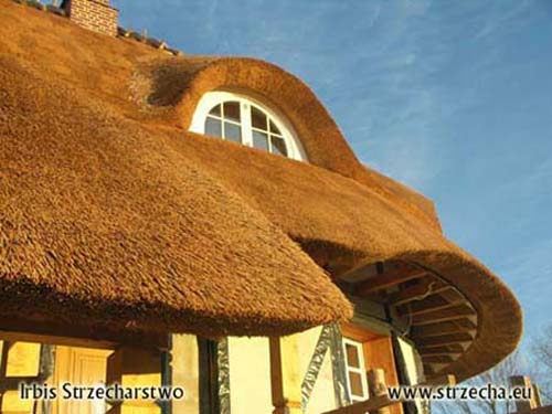 Reed roof: almost the end, only the soffit is missing