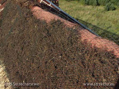 Reed roof: filling the ridge with heather - underneath securing the roof against moss