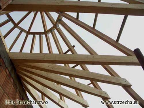 Thatch roof: a wooden roof structure on a semi-circular building