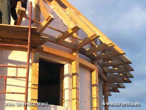 Thatch cottage: wooden structure of the roof eaves on the semicircular building and wooden structure of the curtain façade and insulation.