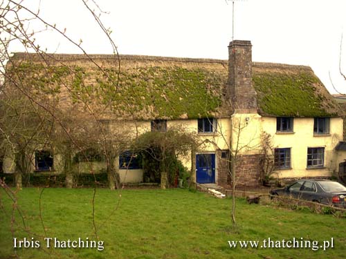 A house in the Danish province - thatched roofing after renovation