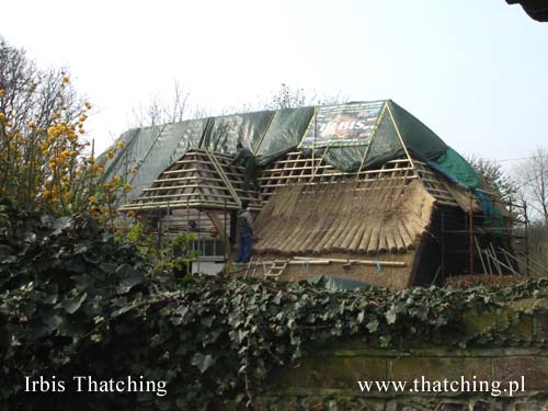 A house in the Danish province - thatched roofing after renovation