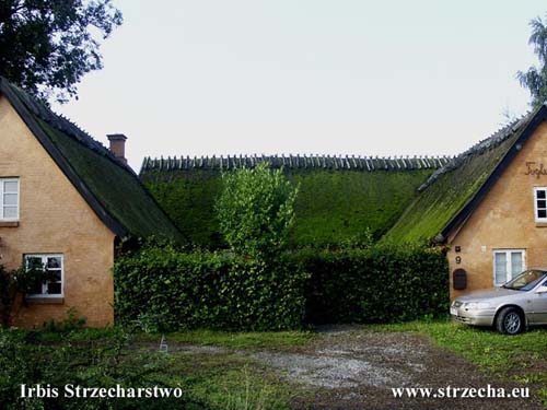 Unfortunately, the mech diametrically shortens the long-term durability of thatch