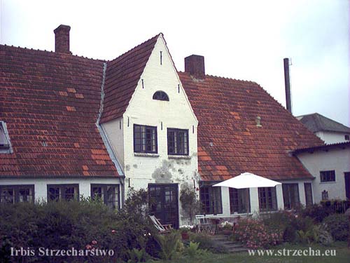Benniksgaard before laying the thatched roof - ceramic tile cover