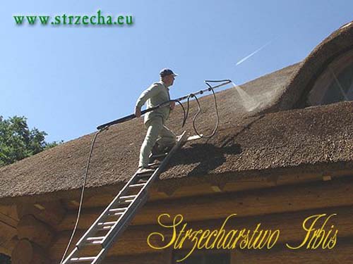 Protection against ignition thatch - impregnation