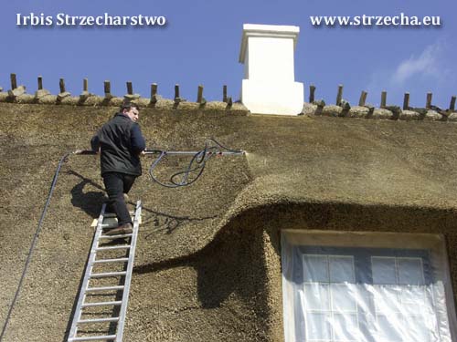 Protection of the thatch against ignition - impregnation