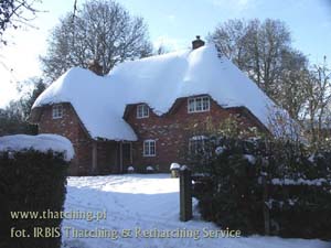Thatch at the ancestral seat around Cambridge