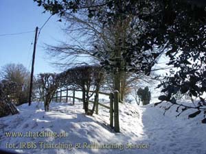 The road into the unknown in winter scenery