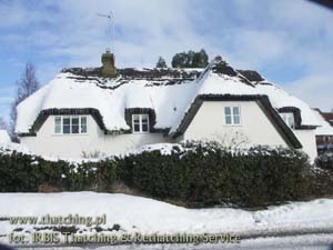 Reed roof on a building in Wildshire