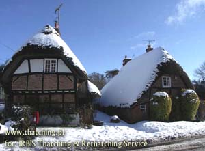 Thatched roofs on historic Wildshire buildings