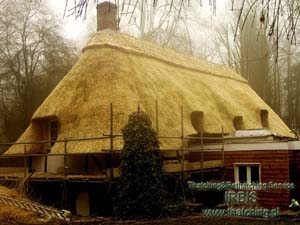 This is how our winter adventure in Wildshire ends - thatched straw, long straw