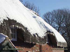 Reed roofing on historic Wildshire buildings
